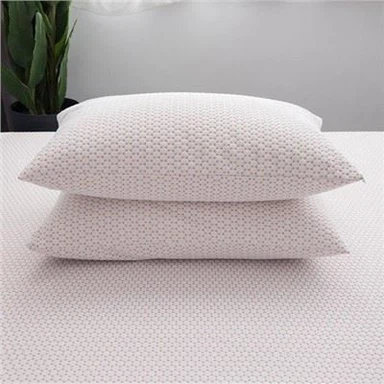 Vase-ioon-žakaarmadratsi veekindel padjakaitse