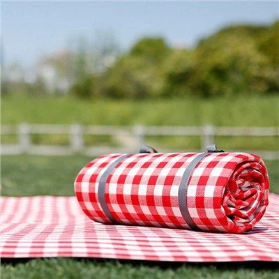 Suur välipikniku tekk